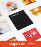 diseño de catalogos individuales para Campos de Roca